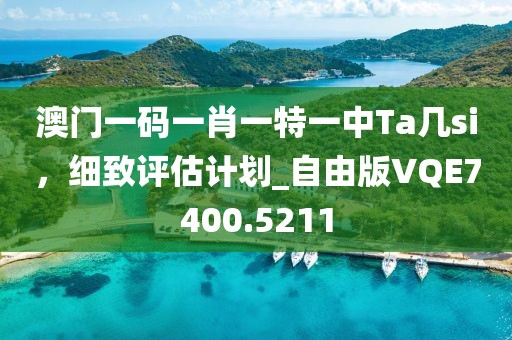 澳门一码一肖一特一中Ta几si，细致评估计划_自由版VQE7400.5211