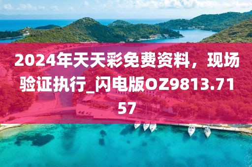 2024年天天彩免费资料，现场验证执行_闪电版OZ9813.7157