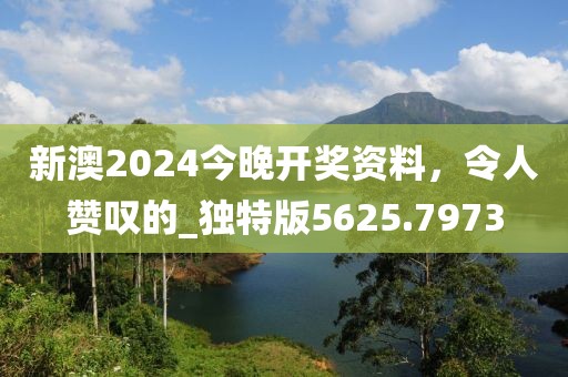 新澳2024今晚开奖资料，令人赞叹的_独特版5625.7973