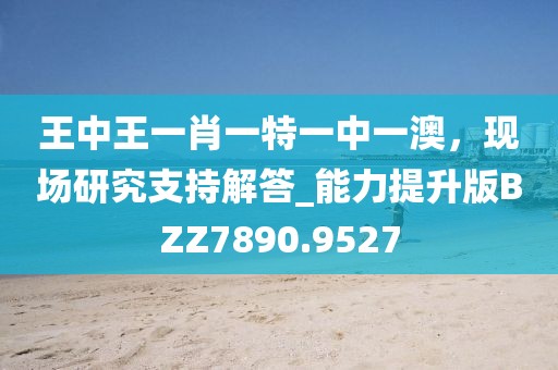 王中王一肖一特一中一澳，现场研究支持解答_能力提升版BZZ7890.9527
