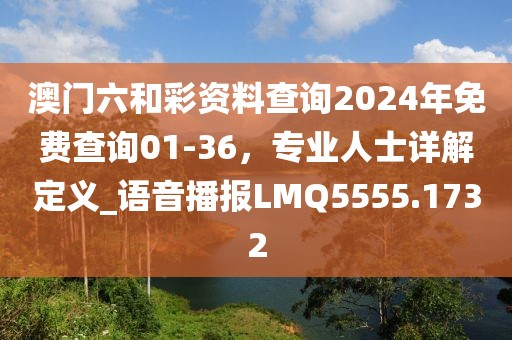澳门六和彩资料查询2024年免费查询01-36，专业人士详解定义_语音播报LMQ5555.1732