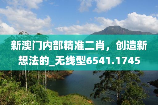 新澳门内部精准二肖，创造新想法的_无线型6541.1745