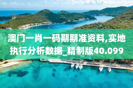 澳门一肖一码期期准资料,实地执行分析数据_精制版40.099