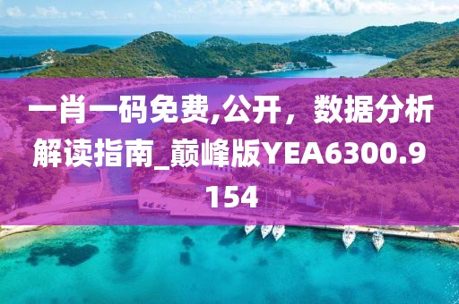 一肖一码免费,公开，数据分析解读指南_巅峰版YEA6300.9154