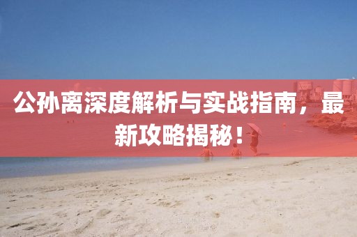 公孙离深度解析与实战指南，最新攻略揭秘！