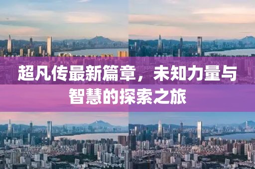 2024年12月 第1289页