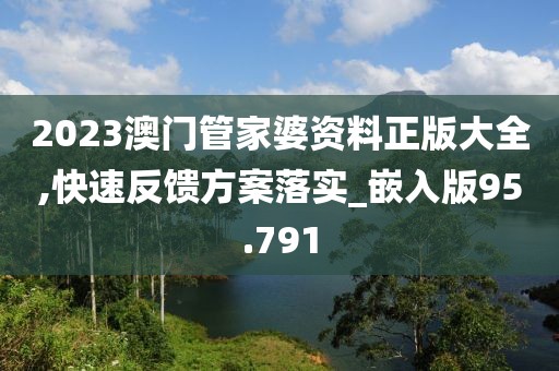 2023澳门管家婆资料正版大全,快速反馈方案落实_嵌入版95.791