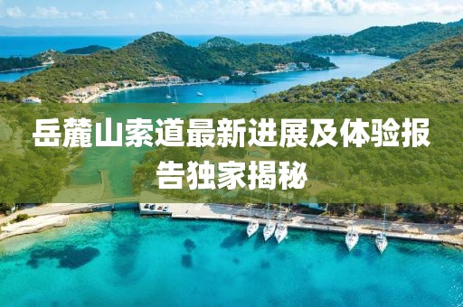 2024年12月 第1285页