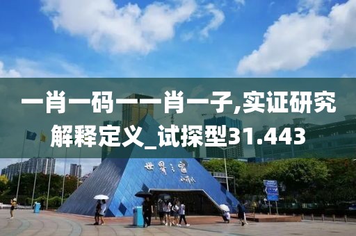 一肖一码一一肖一子,实证研究解释定义_试探型31.443