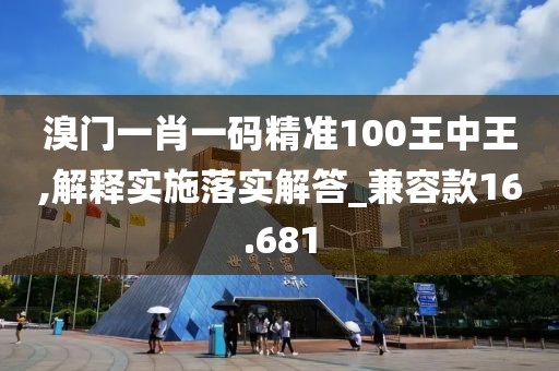 溴门一肖一码精准100王中王,解释实施落实解答_兼容款16.681