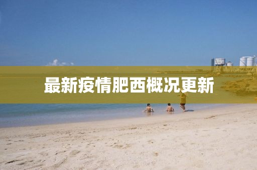 最新疫情肥西概况更新