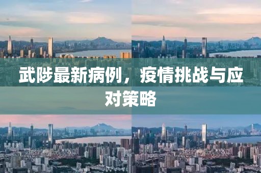 武陟最新病例，疫情挑战与应对策略