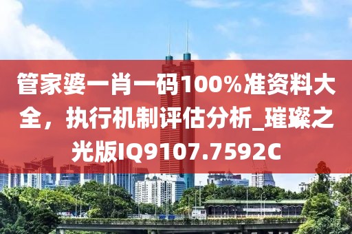 管家婆一肖一码100%准资料大全，执行机制评估分析_璀璨之光版IQ9107.7592C