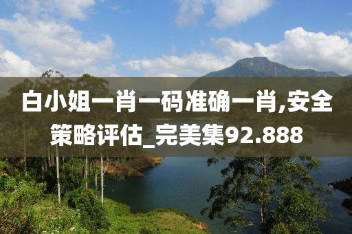 白小姐一肖一码准确一肖,安全策略评估_完美集92.888