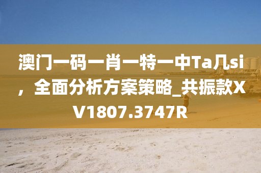 澳门一码一肖一特一中Ta几si，全面分析方案策略_共振款XV1807.3747R