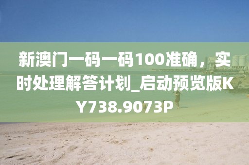 新澳门一码一码100准确，实时处理解答计划_启动预览版KY738.9073P