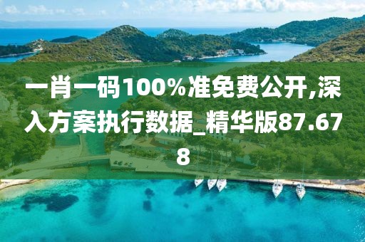 一肖一码100%准免费公开,深入方案执行数据_精华版87.678