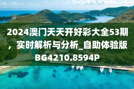 2024年12月 第1229页