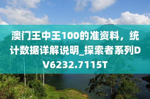 澳门王中王100的准资料，统计数据详解说明_探索者系列DV6232.7115T