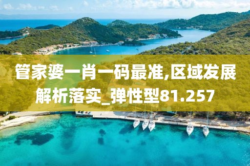 管家婆一肖一码最准,区域发展解析落实_弹性型81.257