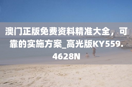 澳门正版免费资料精准大全，可靠的实施方案_高光版KY559.4628N