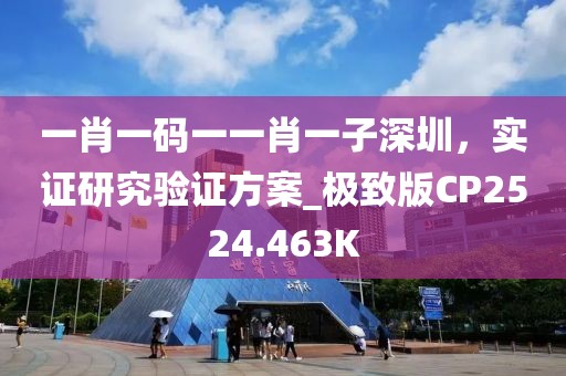 一肖一码一一肖一子深圳，实证研究验证方案_极致版CP2524.463K