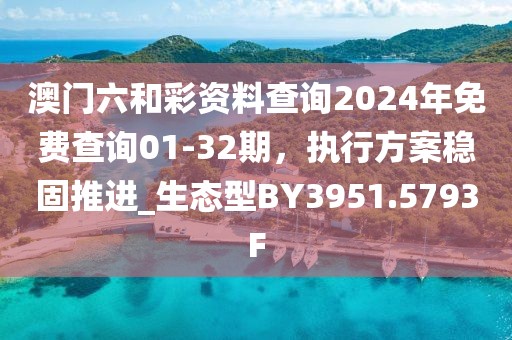 澳门六和彩资料查询2024年免费查询01-32期，执行方案稳固推进_生态型BY3951.5793F