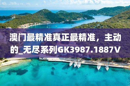 澳门最精准真正最精准，主动的_无尽系列GK3987.1887V