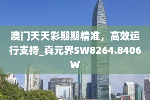 澳门天天彩期期精准，高效运行支持_真元界SW8264.8406W