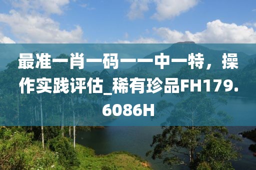 最准一肖一码一一中一特，操作实践评估_稀有珍品FH179.6086H