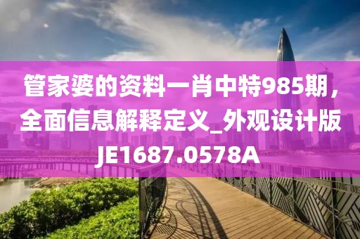 管家婆的资料一肖中特985期，全面信息解释定义_外观设计版JE1687.0578A