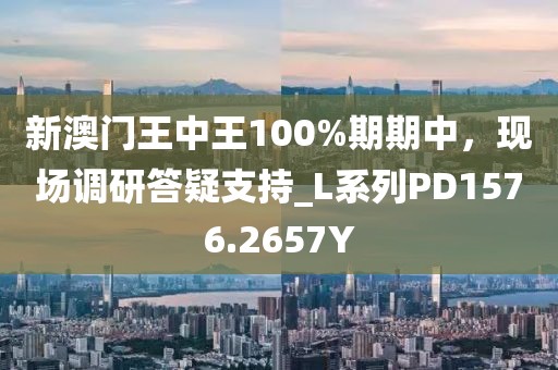 新澳门王中王100%期期中，现场调研答疑支持_L系列PD1576.2657Y