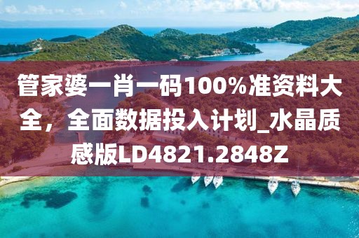 管家婆一肖一码100%准资料大全，全面数据投入计划_水晶质感版LD4821.2848Z
