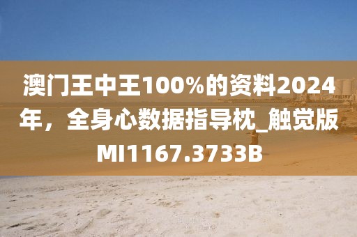 澳门王中王100%的资料2024年，全身心数据指导枕_触觉版MI1167.3733B
