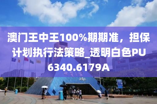 澳门王中王100%期期准，担保计划执行法策略_透明白色PU6340.6179A