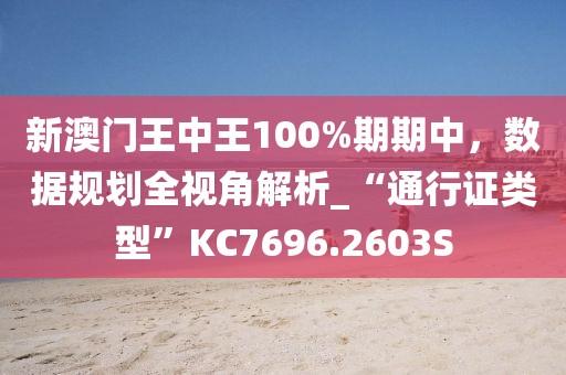 新澳门王中王100%期期中，数据规划全视角解析_“通行证类型”KC7696.2603S