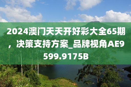 2024澳门天天开好彩大全65期，决策支持方案_品牌视角AE9599.9175B