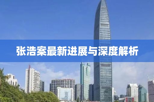 张浩案最新进展与深度解析