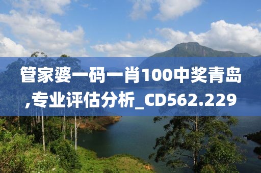 管家婆一码一肖100中奖青岛,专业评估分析_CD562.229
