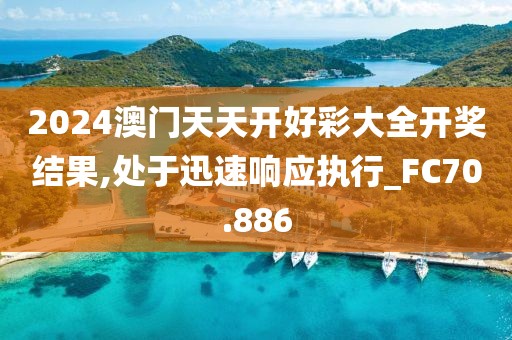 2024澳门天天开好彩大全开奖结果,处于迅速响应执行_FC70.886