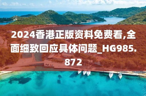 2024香港正版资料免费看,全面细致回应具体问题_HG985.872
