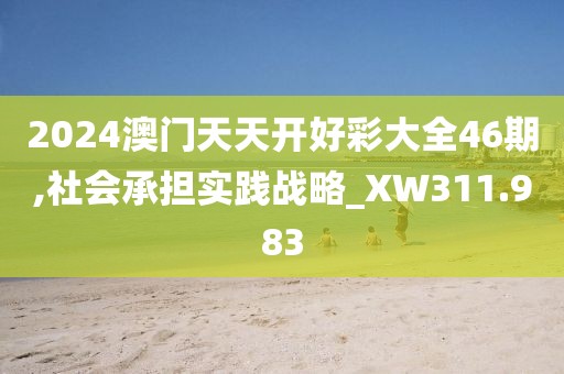2024澳门天天开好彩大全46期,社会承担实践战略_XW311.983
