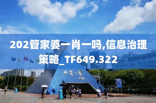 202管家婆一肖一吗,信息治理策略_TF649.322