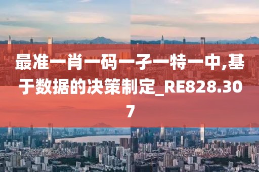 最准一肖一码一孑一特一中,基于数据的决策制定_RE828.307