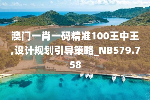 澳门一肖一码精准100王中王,设计规划引导策略_NB579.758