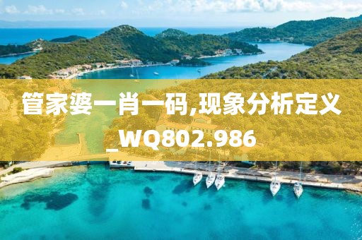 管家婆一肖一码,现象分析定义_WQ802.986