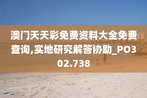 澳门天天彩免费资料大全免费查询,实地研究解答协助_PO302.738
