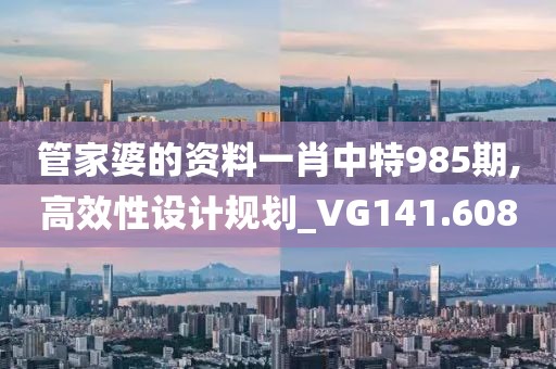 管家婆的资料一肖中特985期,高效性设计规划_VG141.608