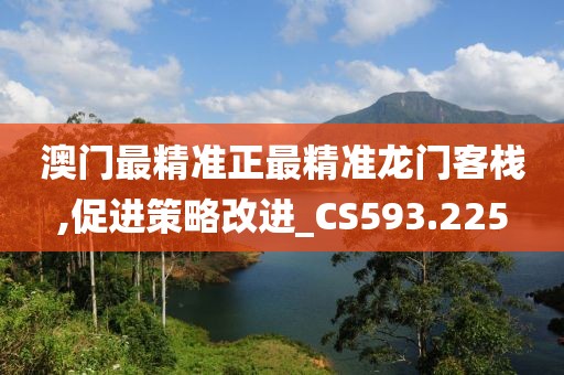 澳门最精准正最精准龙门客栈,促进策略改进_CS593.225