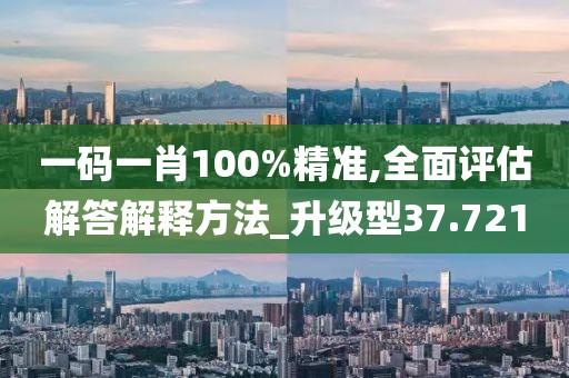 一码一肖100%精准,全面评估解答解释方法_升级型37.721